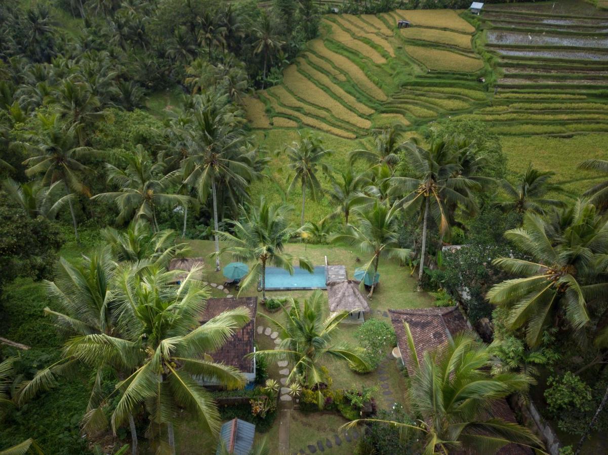 Green Sari Private Villa Ubud Extérieur photo