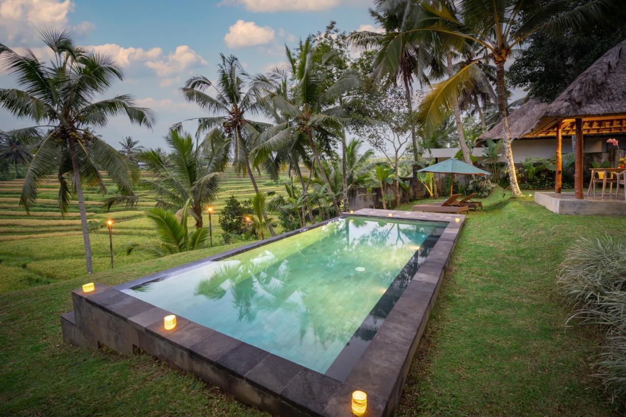 Green Sari Private Villa Ubud Extérieur photo
